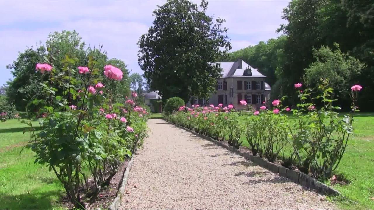 Chateau D'Urtubie Urrugne Eksteriør billede
